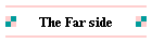 The Far side
